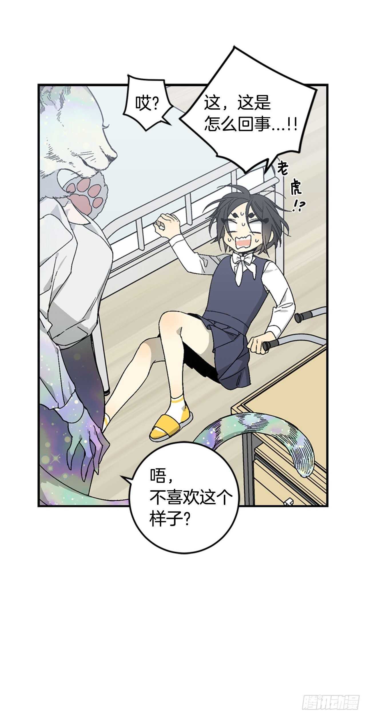23-遇见第一位米尔11