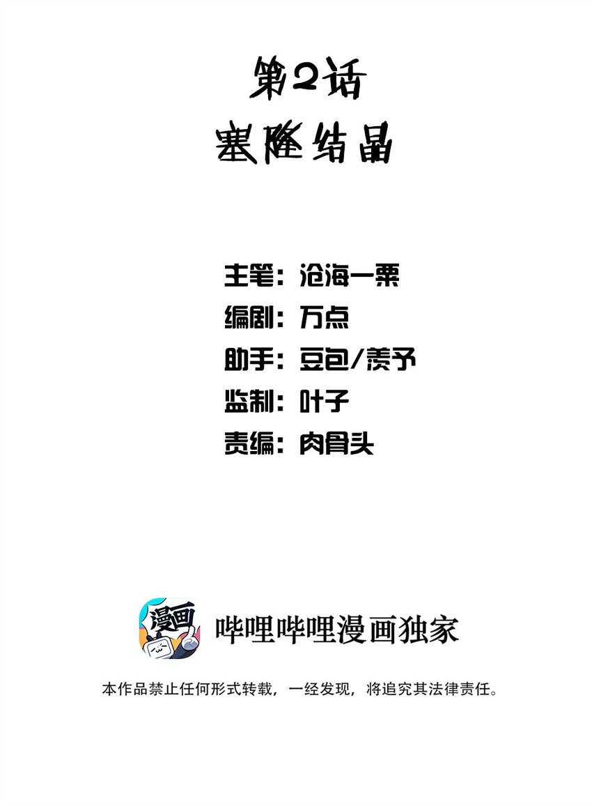 002 塞隆结晶1