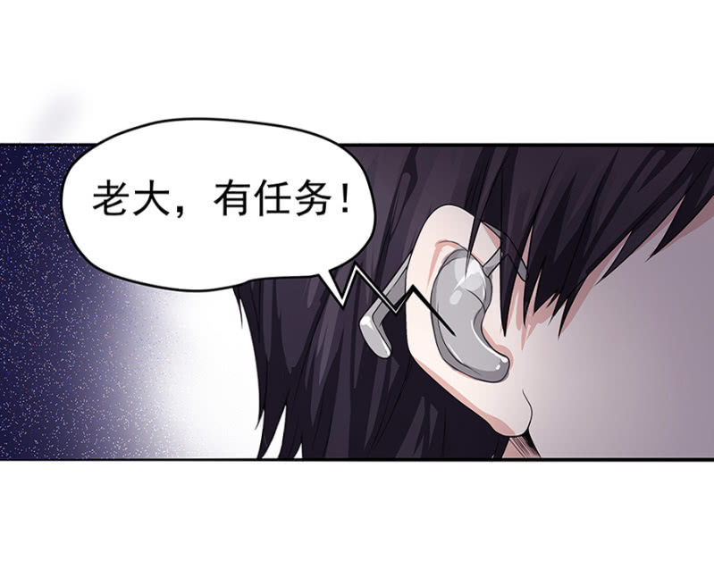 和猪相亲11