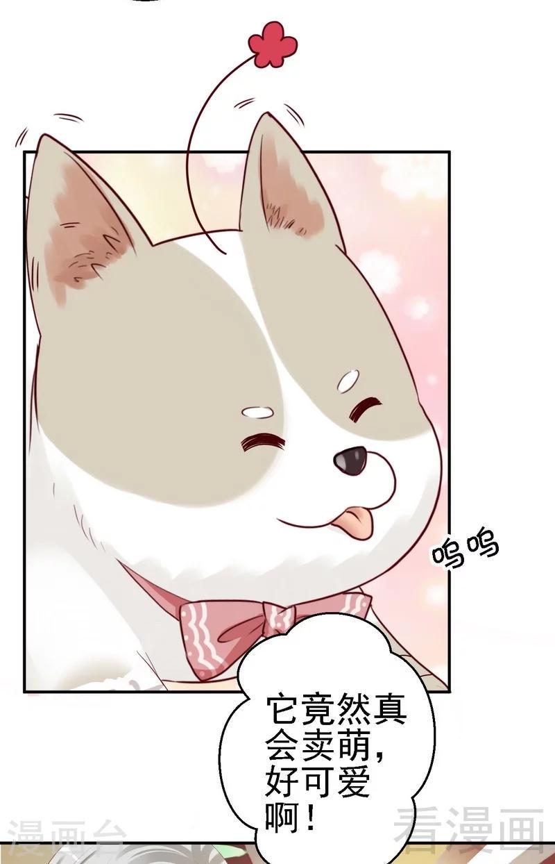 第30话蛮横的狗主人18