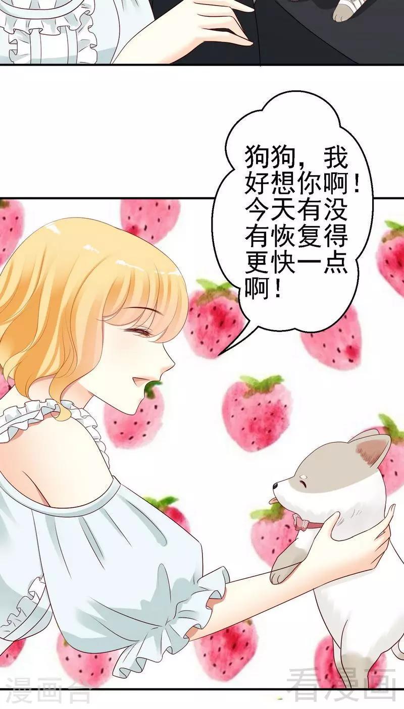 第30话蛮横的狗主人4