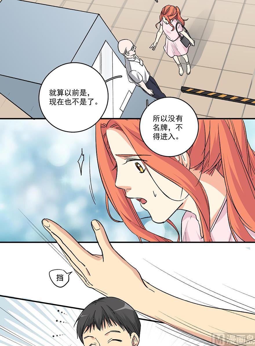大结局预备章节7