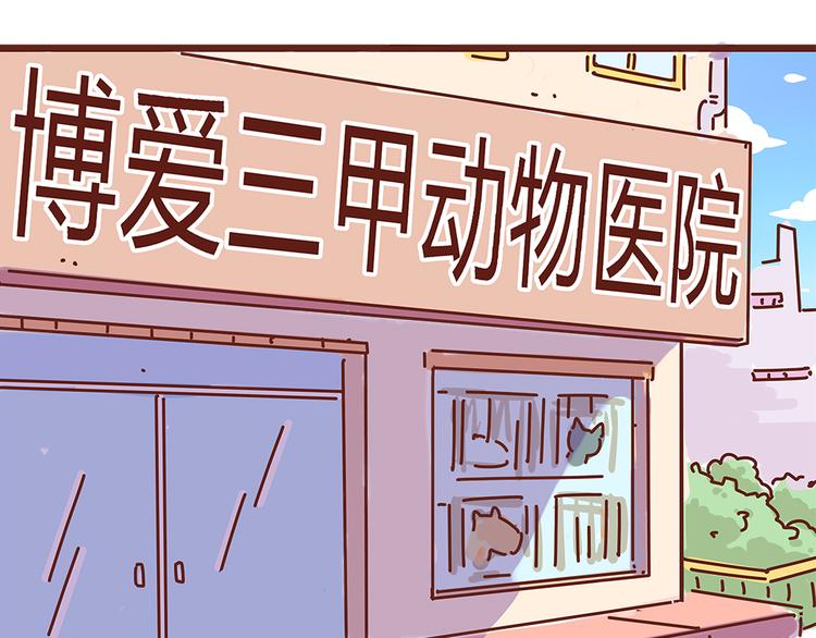 第18话 脱单靠缘分吧45