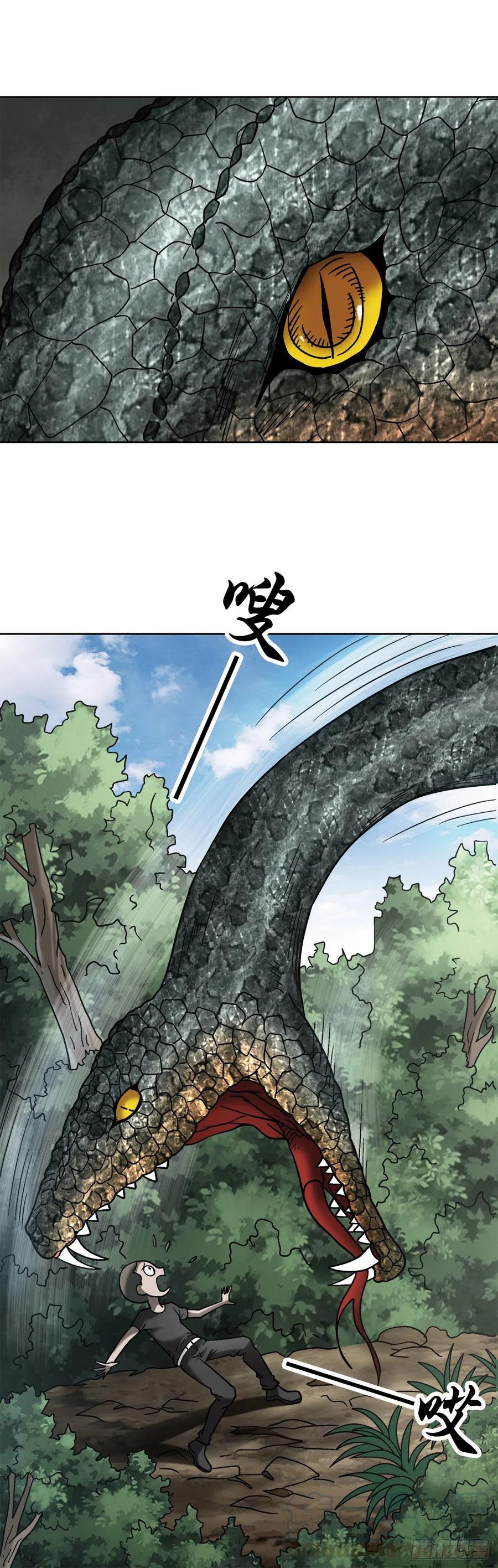 29 大蛇24