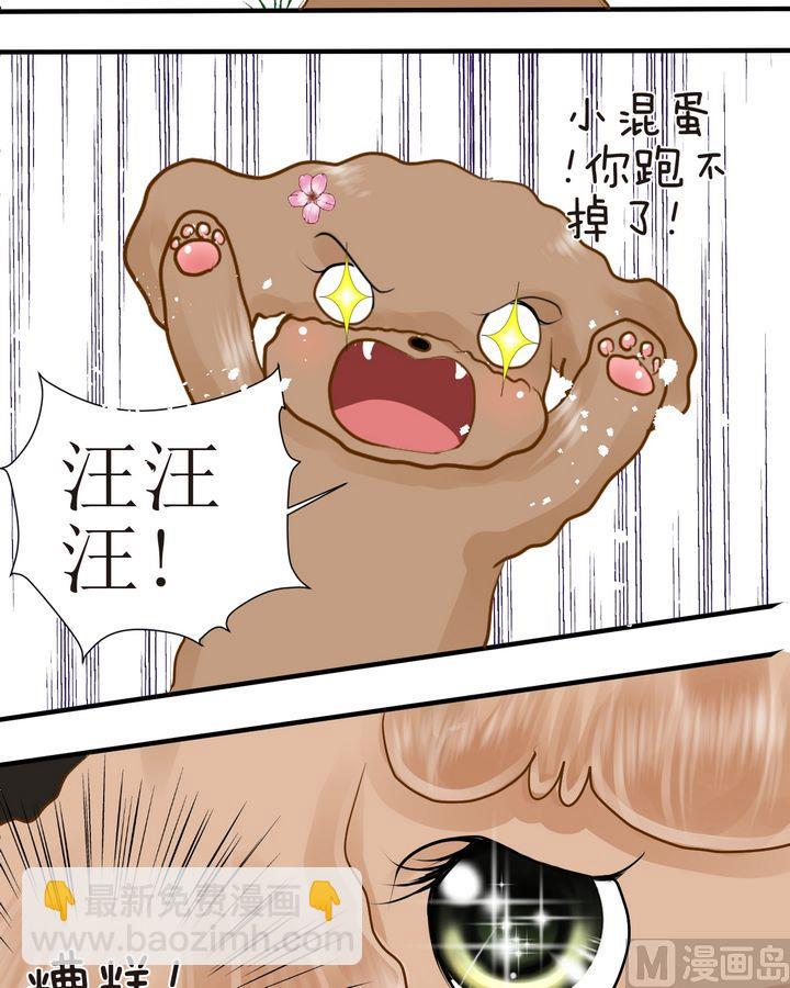 第29话 毛小孩的战斗（下）6
