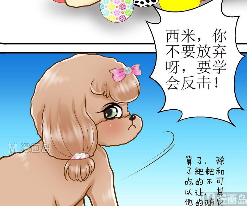 第13话 粑粑的训练课（上）10