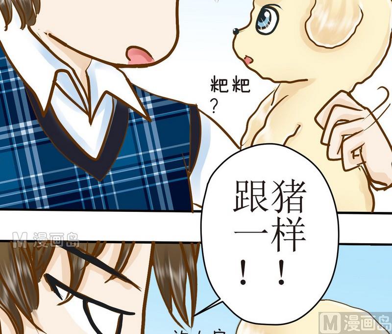 第8话 汝名猪豆儿19