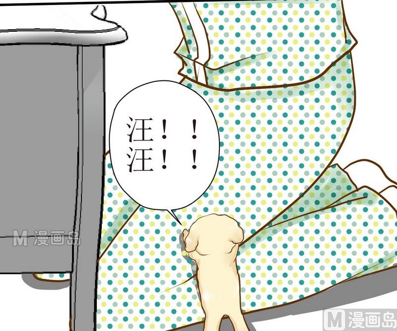 第8话 汝名猪豆儿4