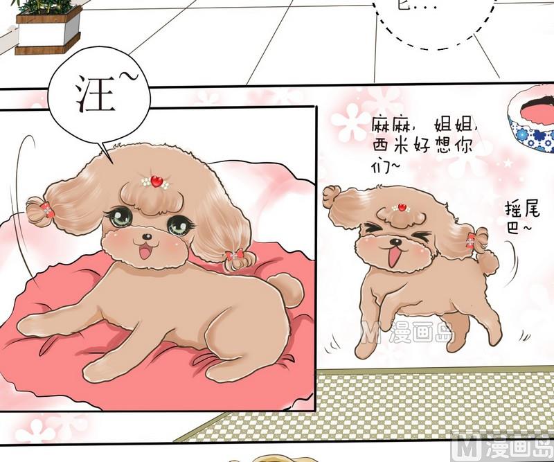 第2话 第二个毛孩儿16