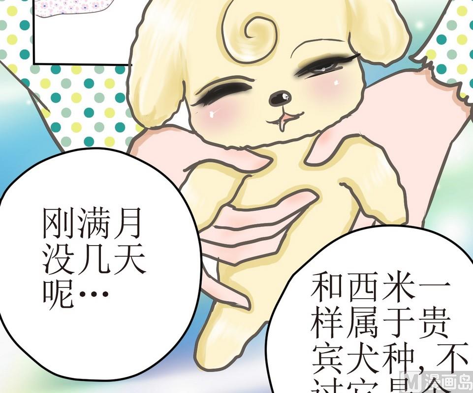第3话 伤心的小公举18