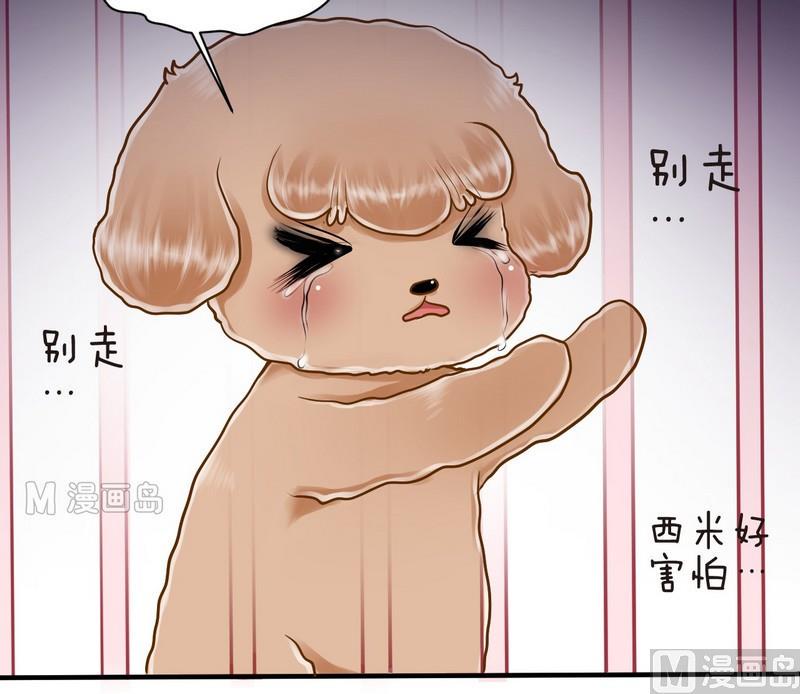 第15话 番外 初见西米（上）17