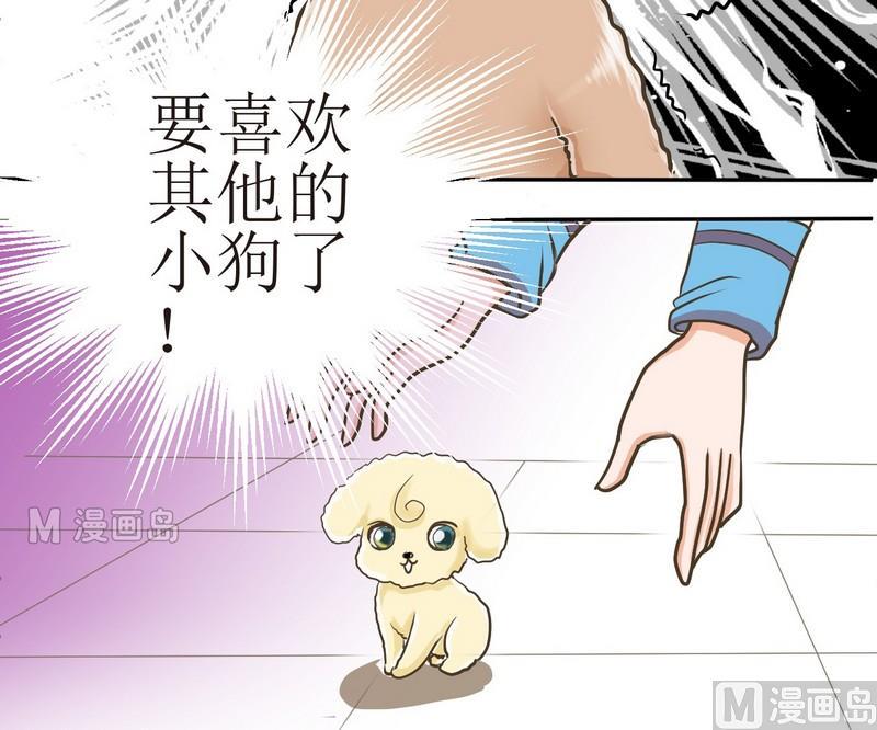 第2话 第二个毛孩儿21