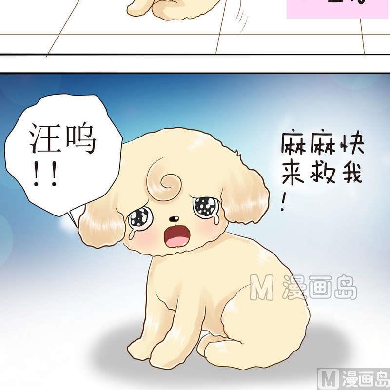 第23话 可怜的垫子7
