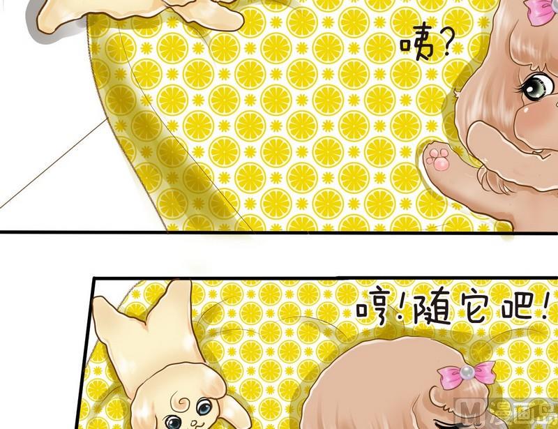 第9话 西米的花花被10