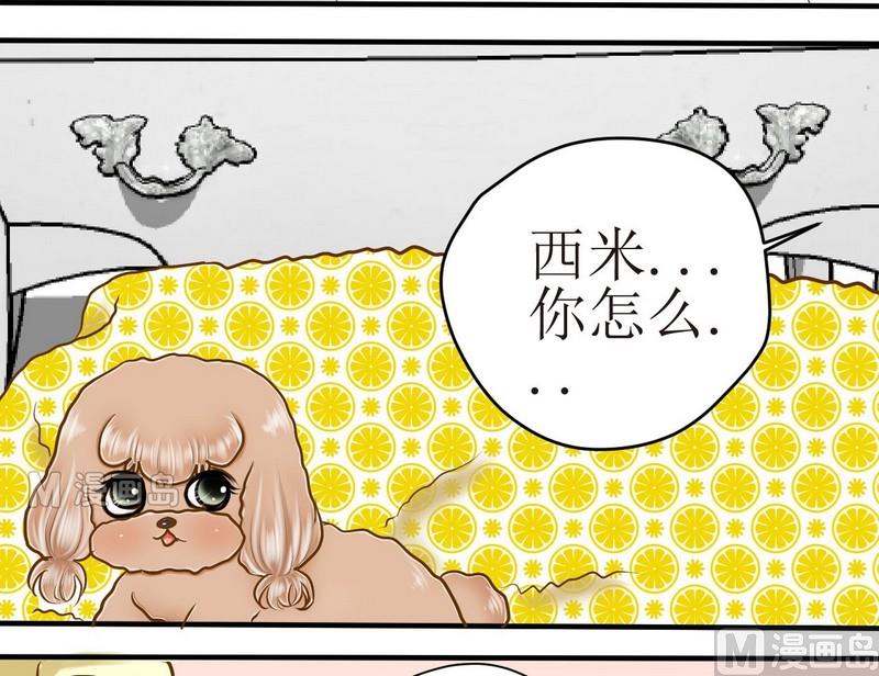 第10话 西米的花花被214