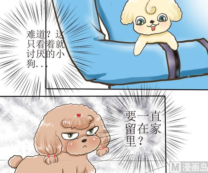 第2话 第二个毛孩儿19