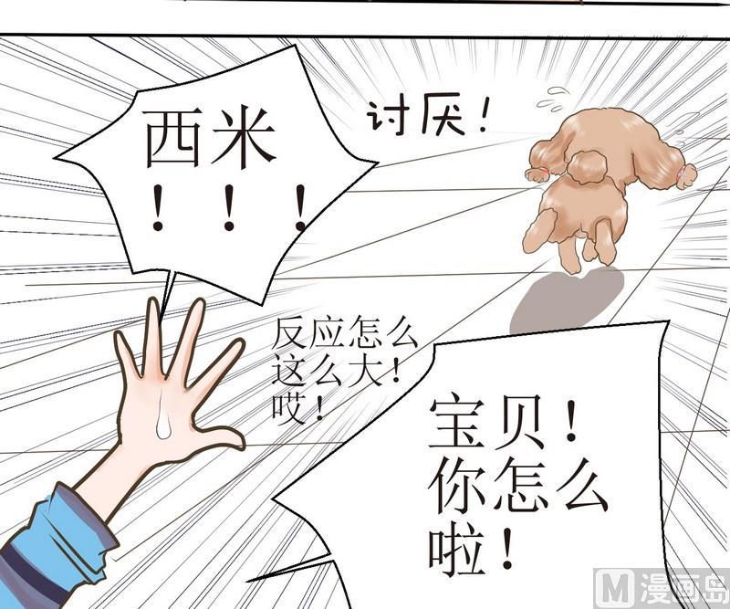 第2话 第二个毛孩儿23