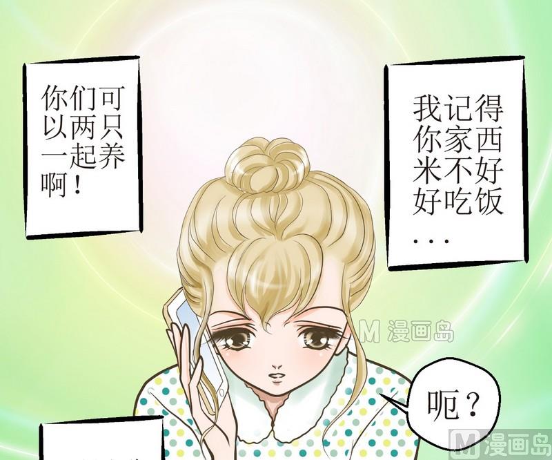 第2话 第二个毛孩儿12