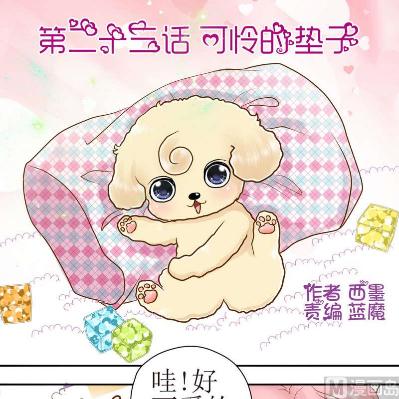 第23话 可怜的垫子0
