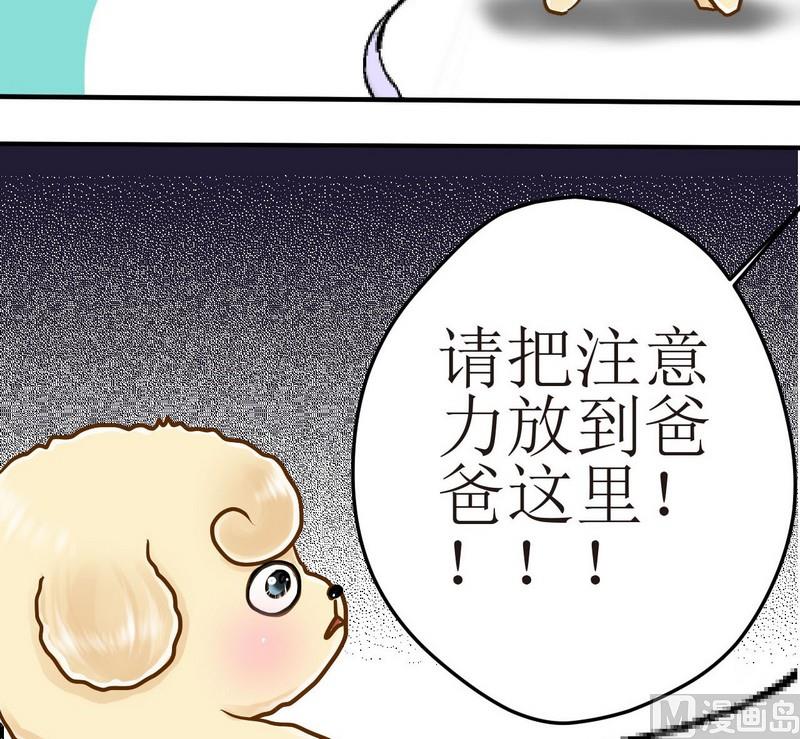 第13话 粑粑的训练课（上）21
