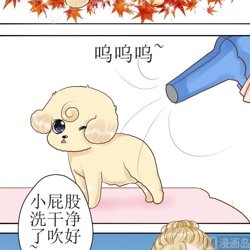 第24话 乖，摸摸头1