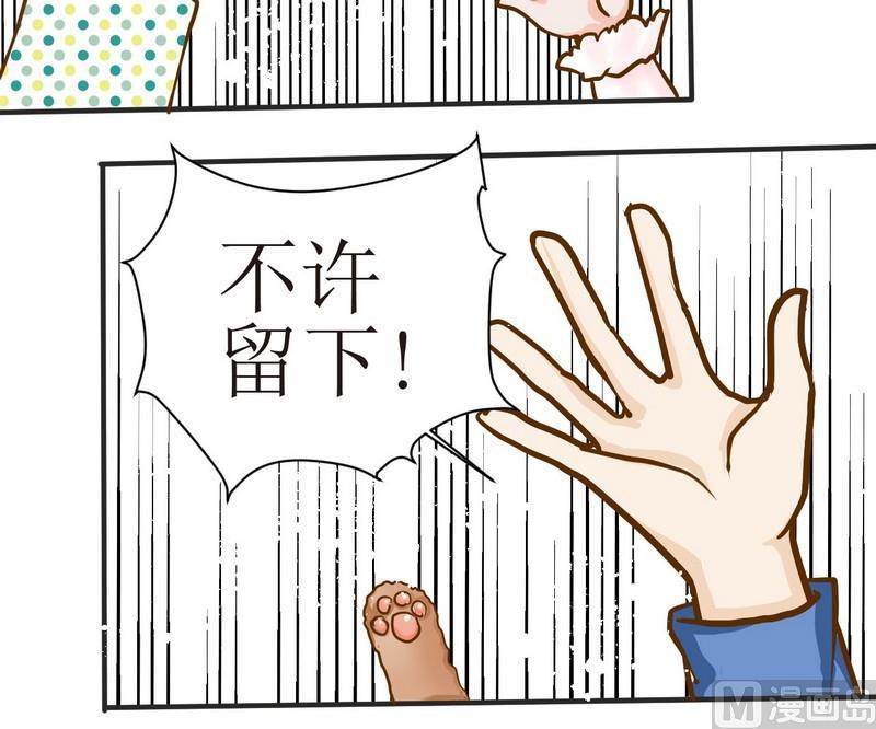 第5话 放大招6