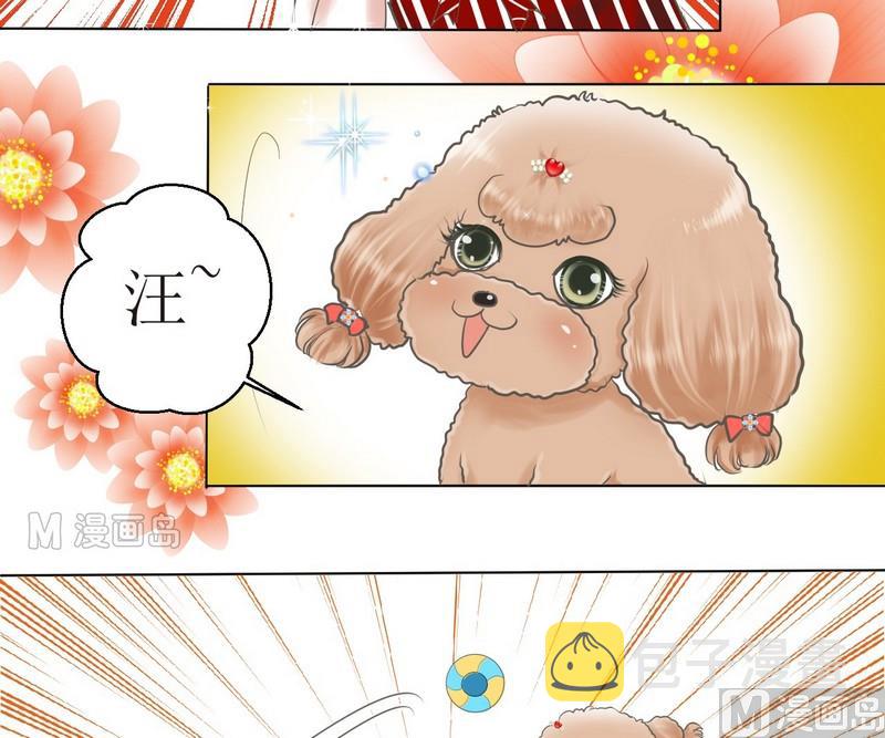 第2话 第二个毛孩儿4