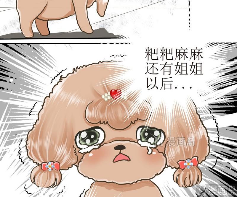第2话 第二个毛孩儿20