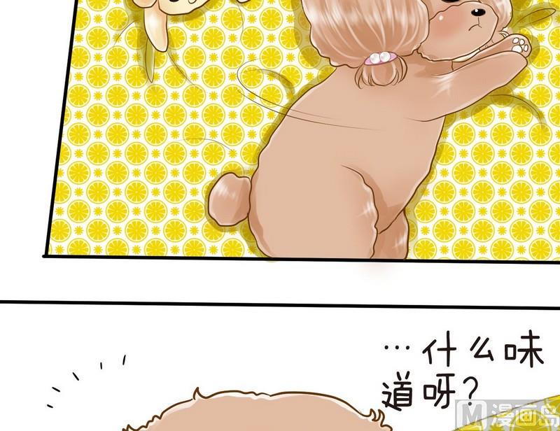 第9话 西米的花花被11