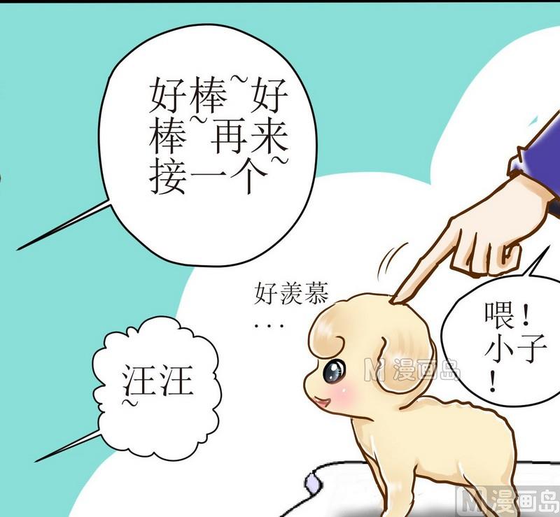 第13话 粑粑的训练课（上）20