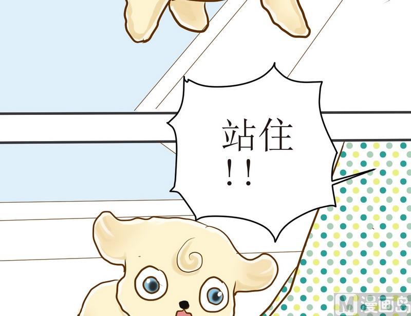 第6话 开课啦（上）17