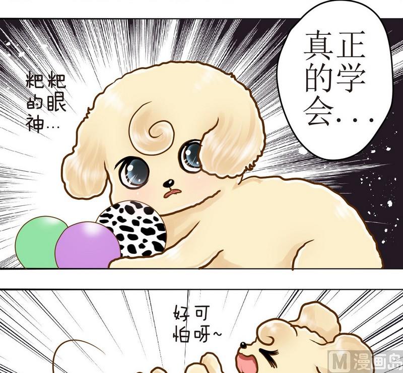 第13话 粑粑的训练课（上）14