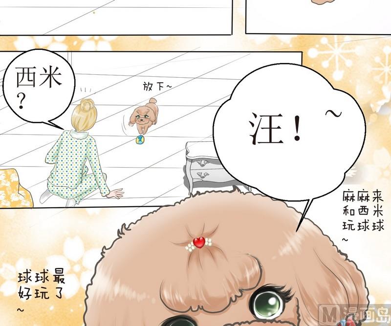 第2话 第二个毛孩儿7