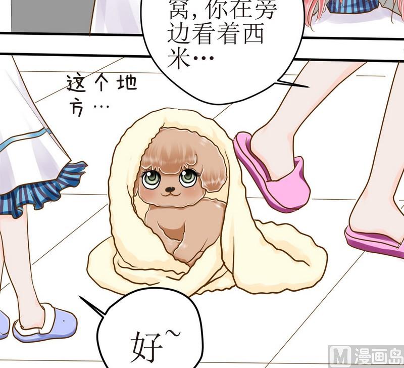 第15话 番外 初见西米（上）9