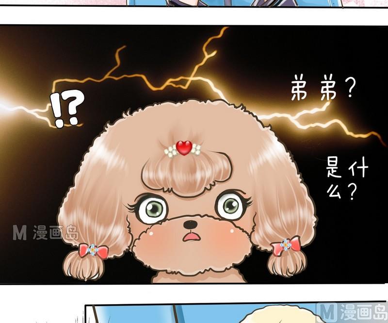 第2话 第二个毛孩儿18