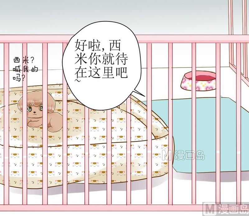 第15话 番外 初见西米（上）11