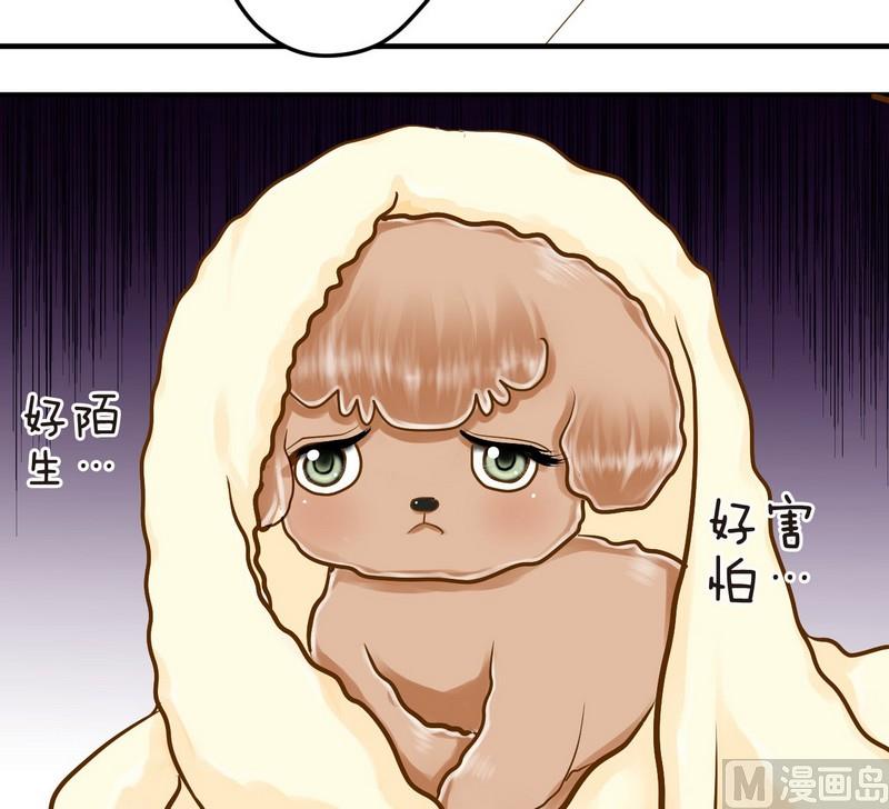 第15话 番外 初见西米（上）10