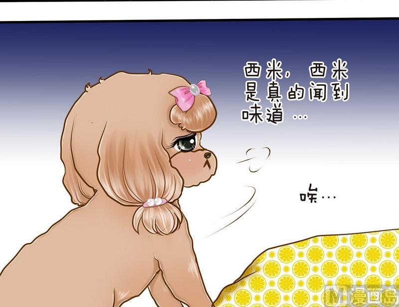 第10话 西米的花花被212
