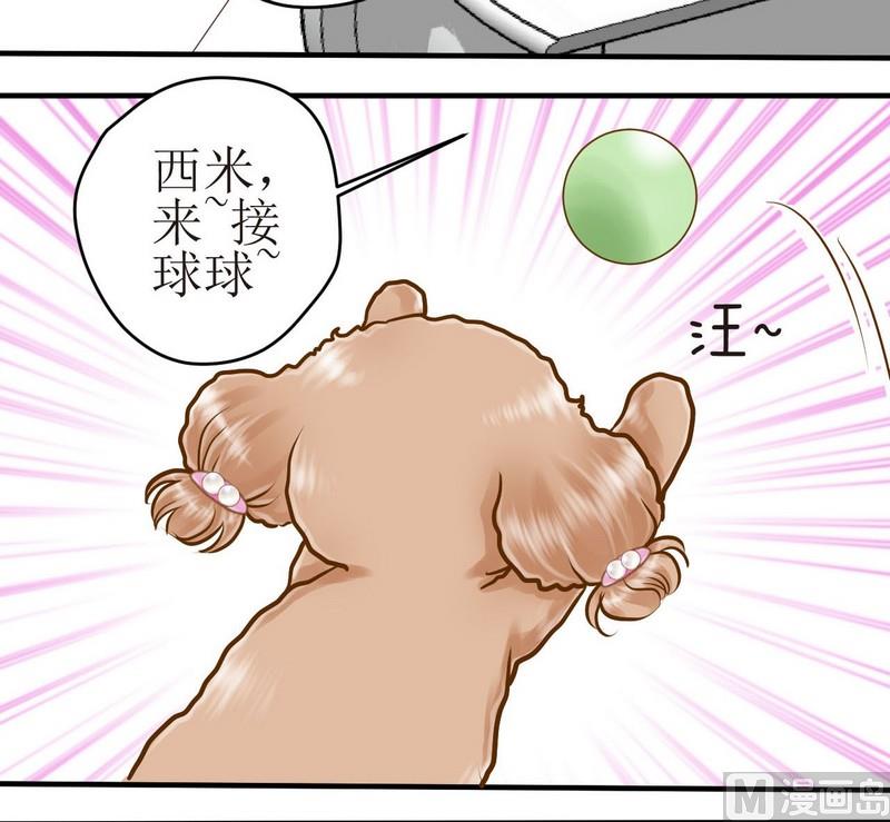 第13话 粑粑的训练课（上）19