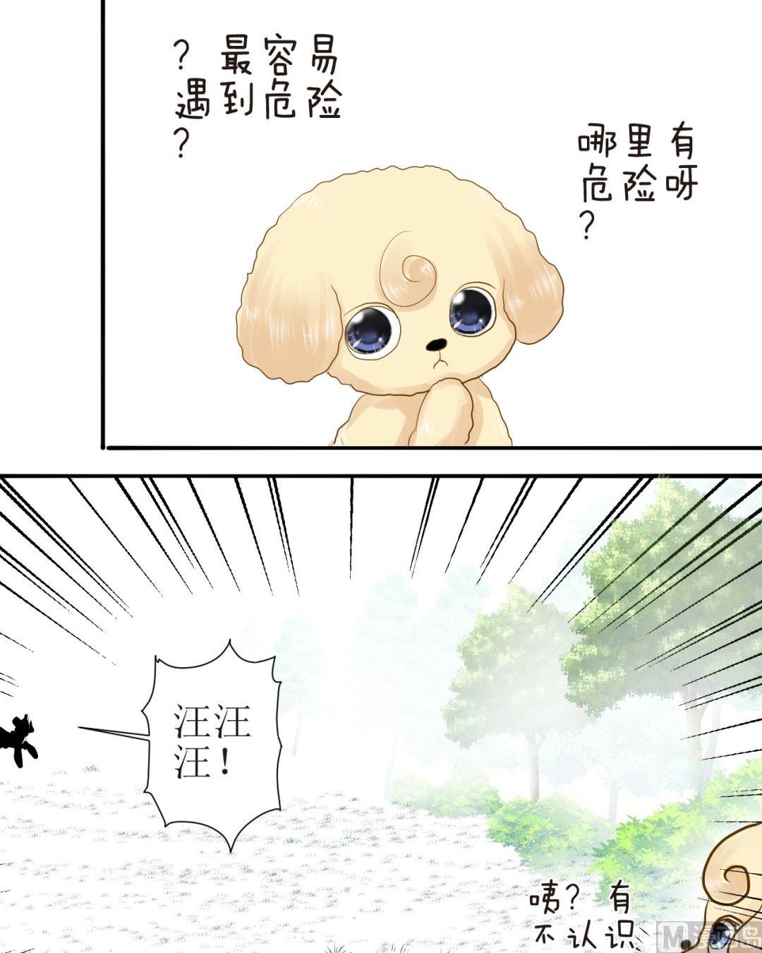第四十二话 一起玩3