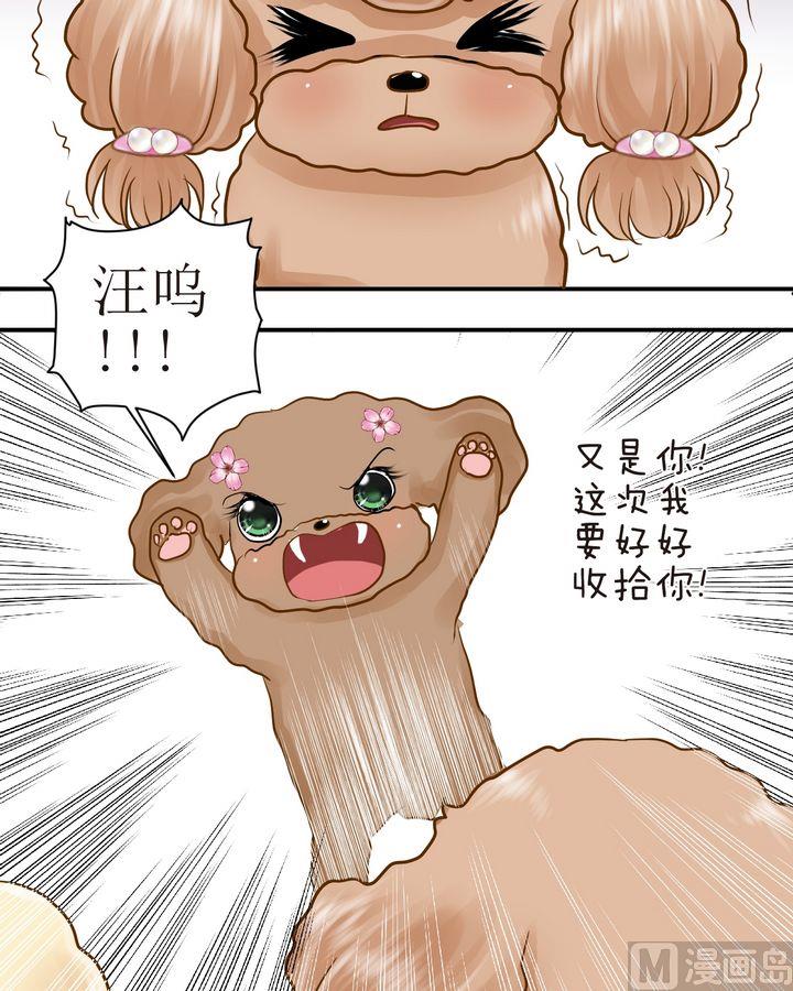第28话 毛小孩的战斗（上）2