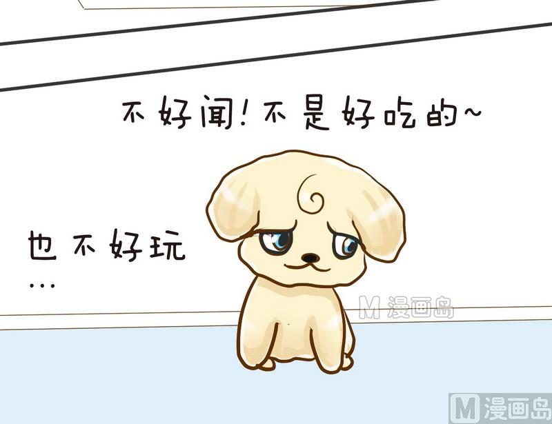 第6话 开课啦（上）15
