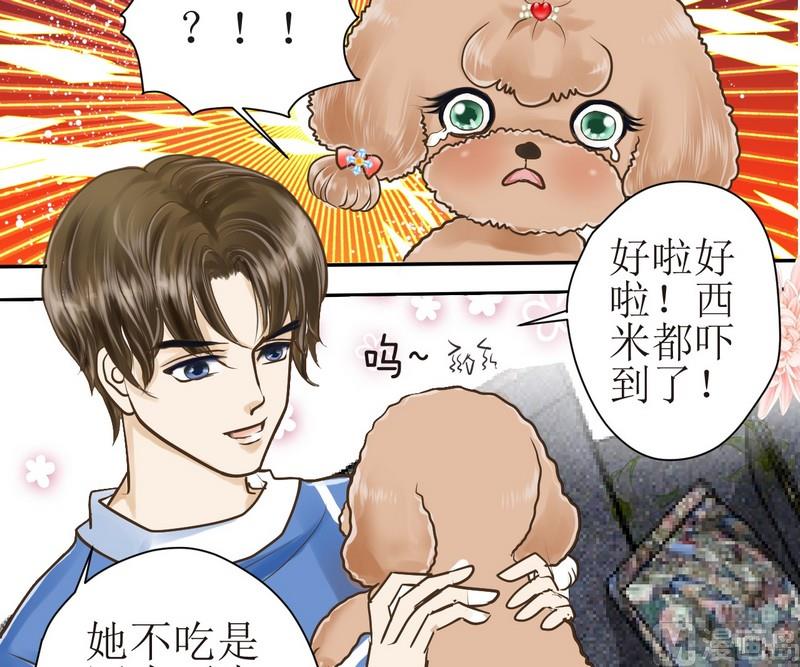 第1话 挑食的西米16