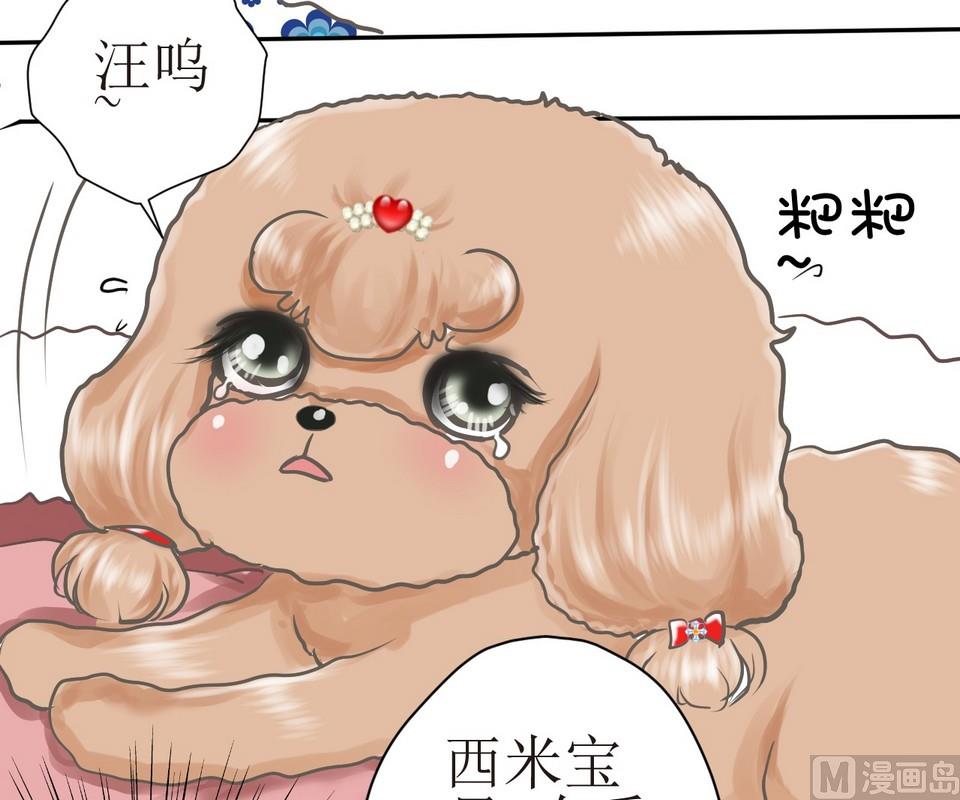 第3话 伤心的小公举13