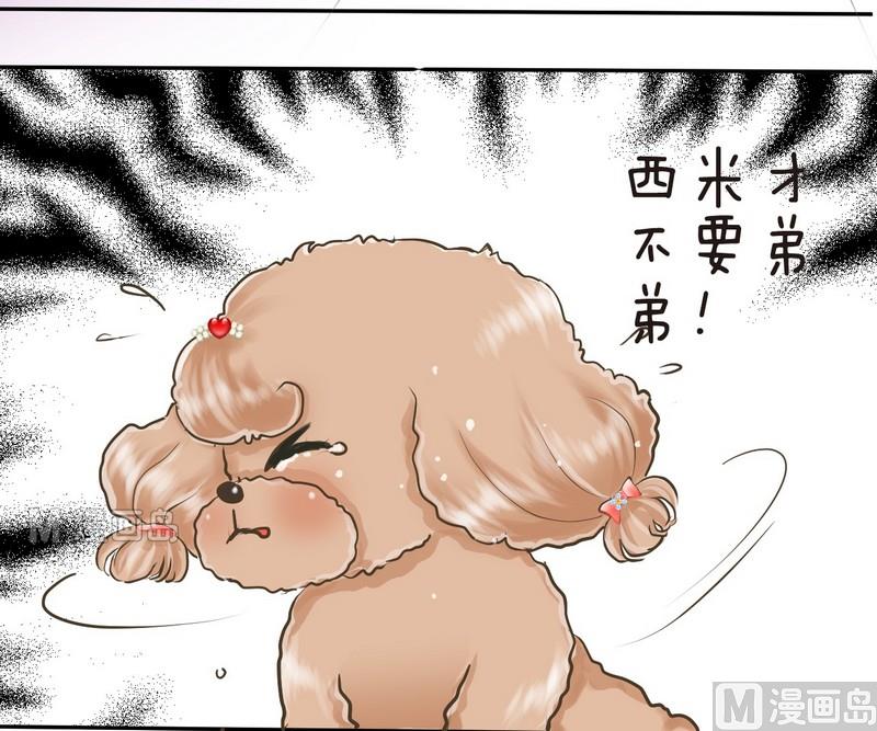 第2话 第二个毛孩儿22