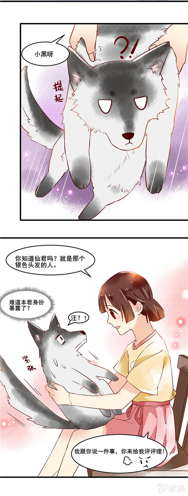 第44章12