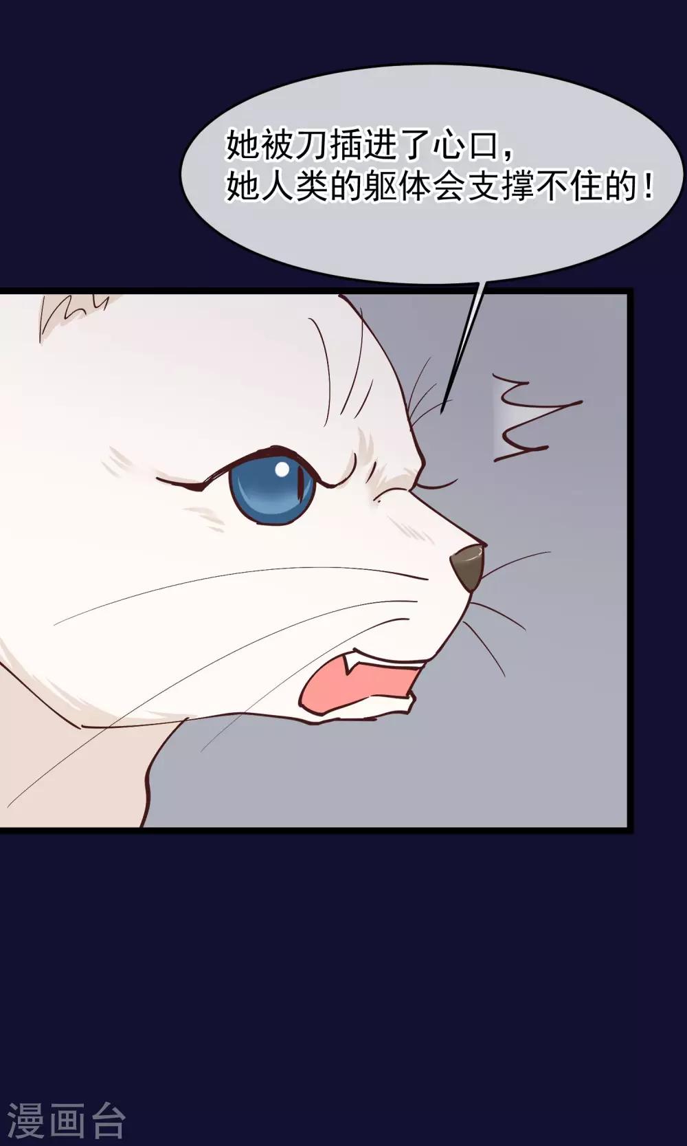 第27话 一起下地狱吧36