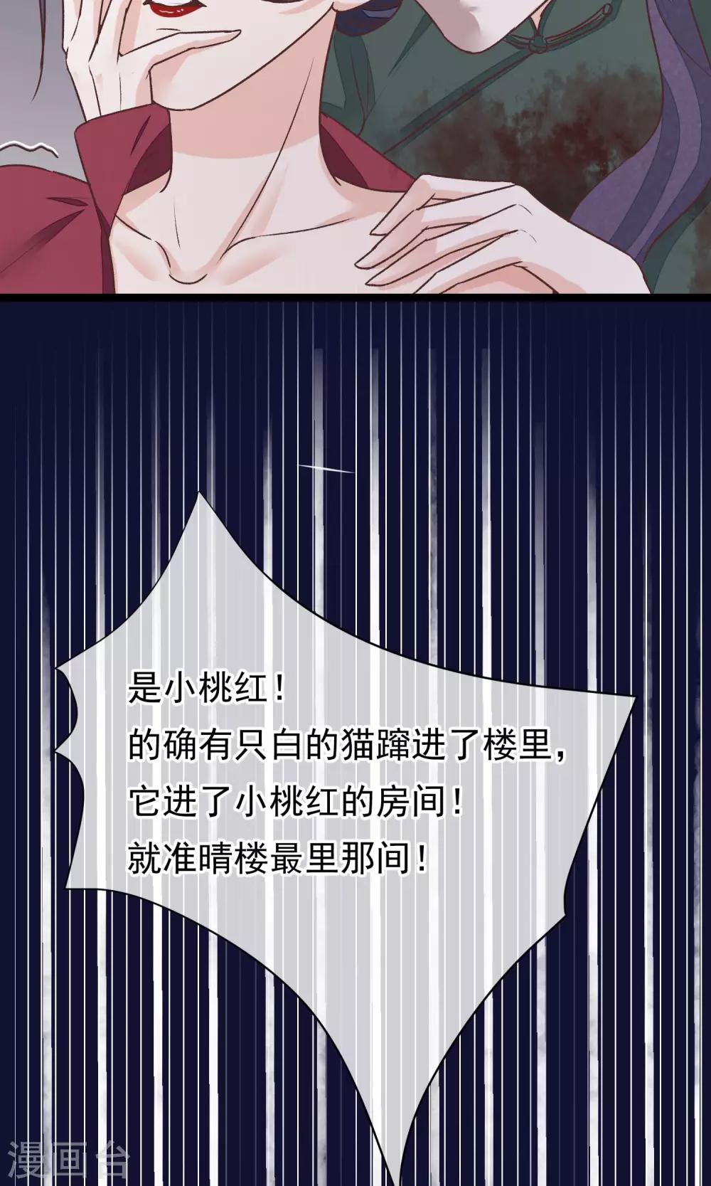 第23话 神秘访客28