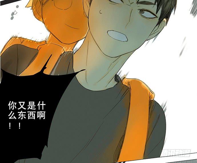 15.你不是他35