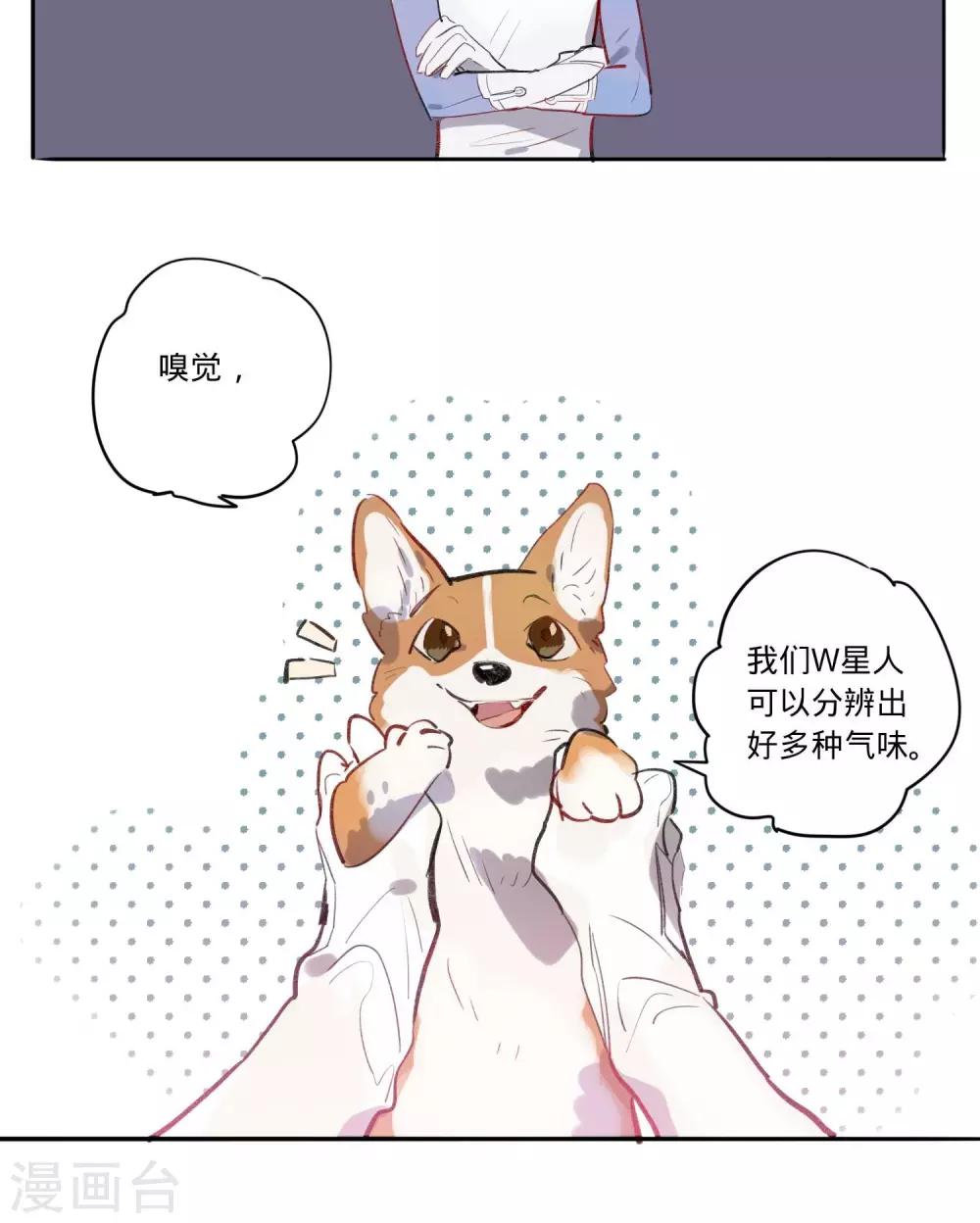 第9话8